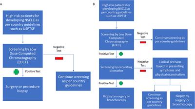 Circulating Biomarkers for Early Stage Non-Small Cell Lung Carcinoma Detection: Supplementation to Low‐Dose Computed Tomography
